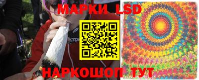 сатива Комсомольск-на-Амуре