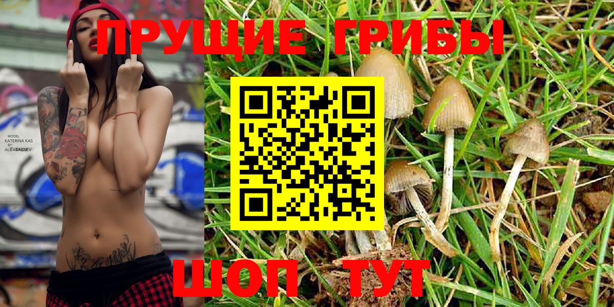 Анапа  Псилоцибиновые грибы ЛСД  Псилоцибиновые грибы MAGIC MUSHROOMS  Вход с VPN 