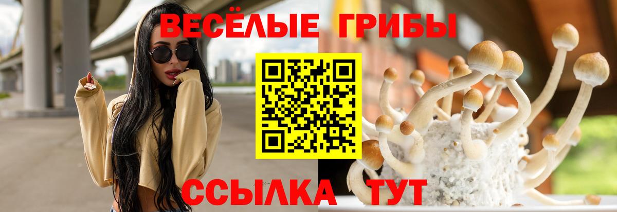 Псилоцибиновые грибы прущие грибы Анапа